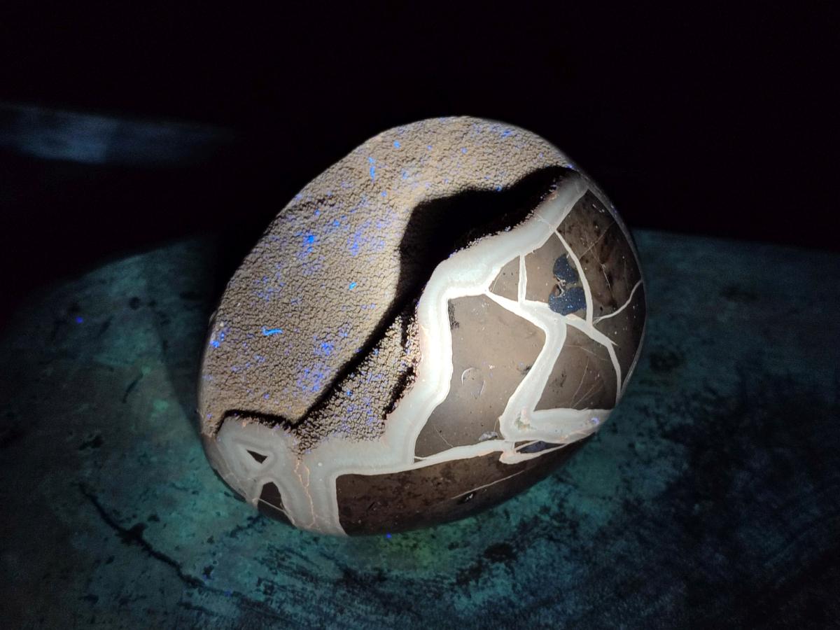 Polished Septerye Sauvage "Dragons Egg" Geodes x 2 From Mahajanga, Madagascar - Toprock Gemstones and Minerals 