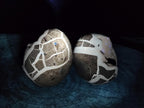 Polished Septerye Sauvage "Dragons Egg" Geodes x 2 From Mahajanga, Madagascar - Toprock Gemstones and Minerals 