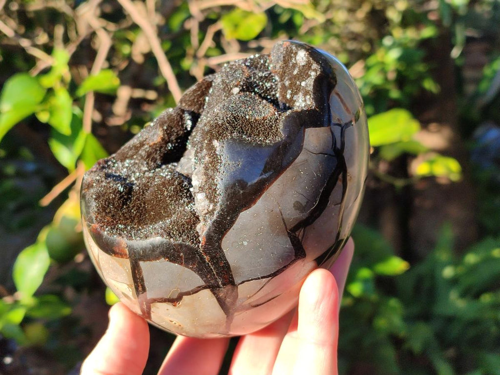 Polished Septerye Sauvage "Dragons Egg" Geodes x 2 From Mahajanga, Madagascar - Toprock Gemstones and Minerals 