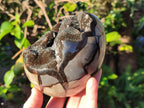 Polished Septerye Sauvage "Dragons Egg" Geodes x 2 From Mahajanga, Madagascar - Toprock Gemstones and Minerals 