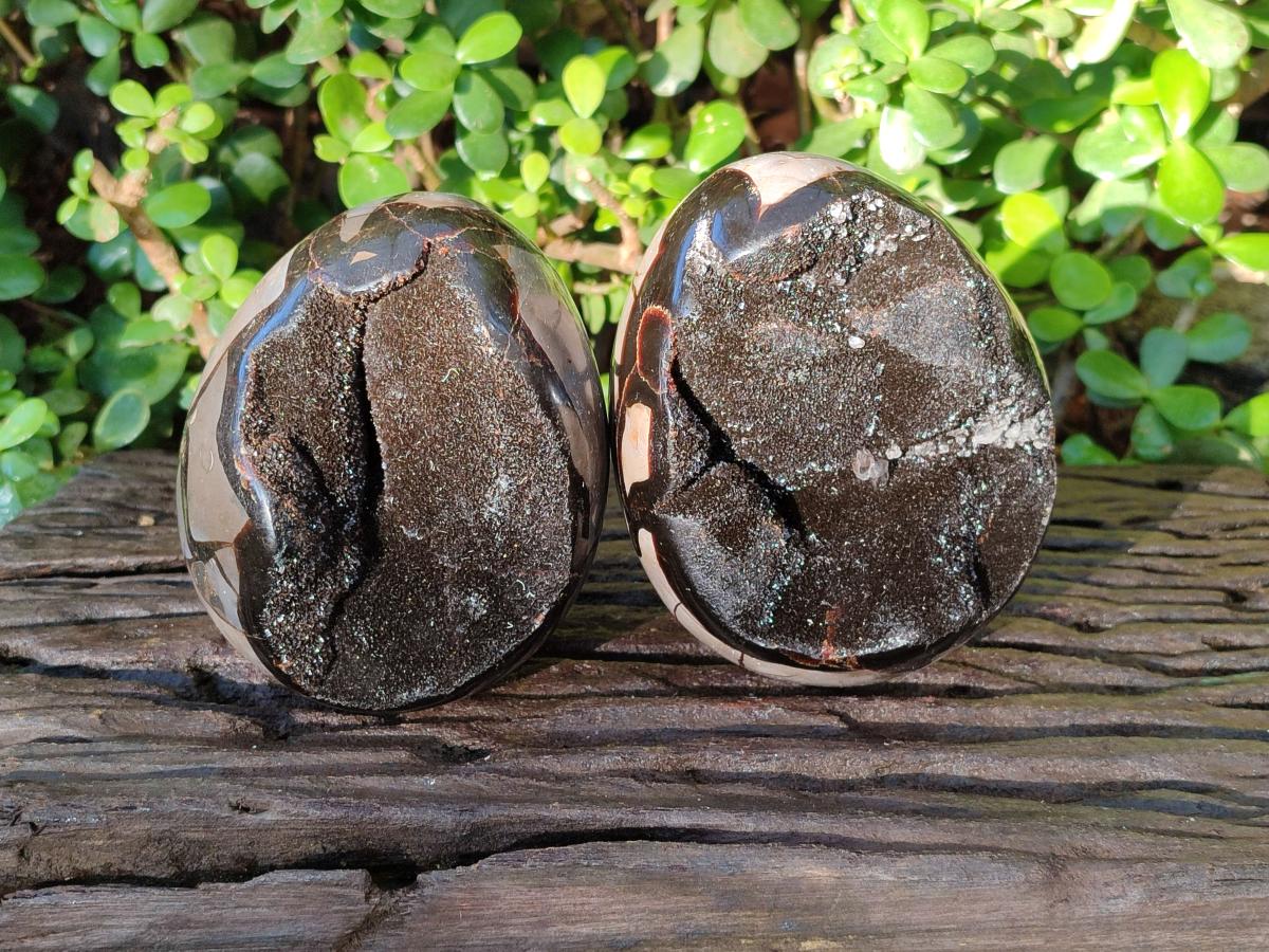 Polished Septerye Sauvage "Dragons Egg" Geodes x 2 From Mahajanga, Madagascar - Toprock Gemstones and Minerals 