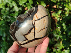 Polished Septerye Sauvage "Dragons Egg" Geodes x 2 From Mahajanga, Madagascar - Toprock Gemstones and Minerals 