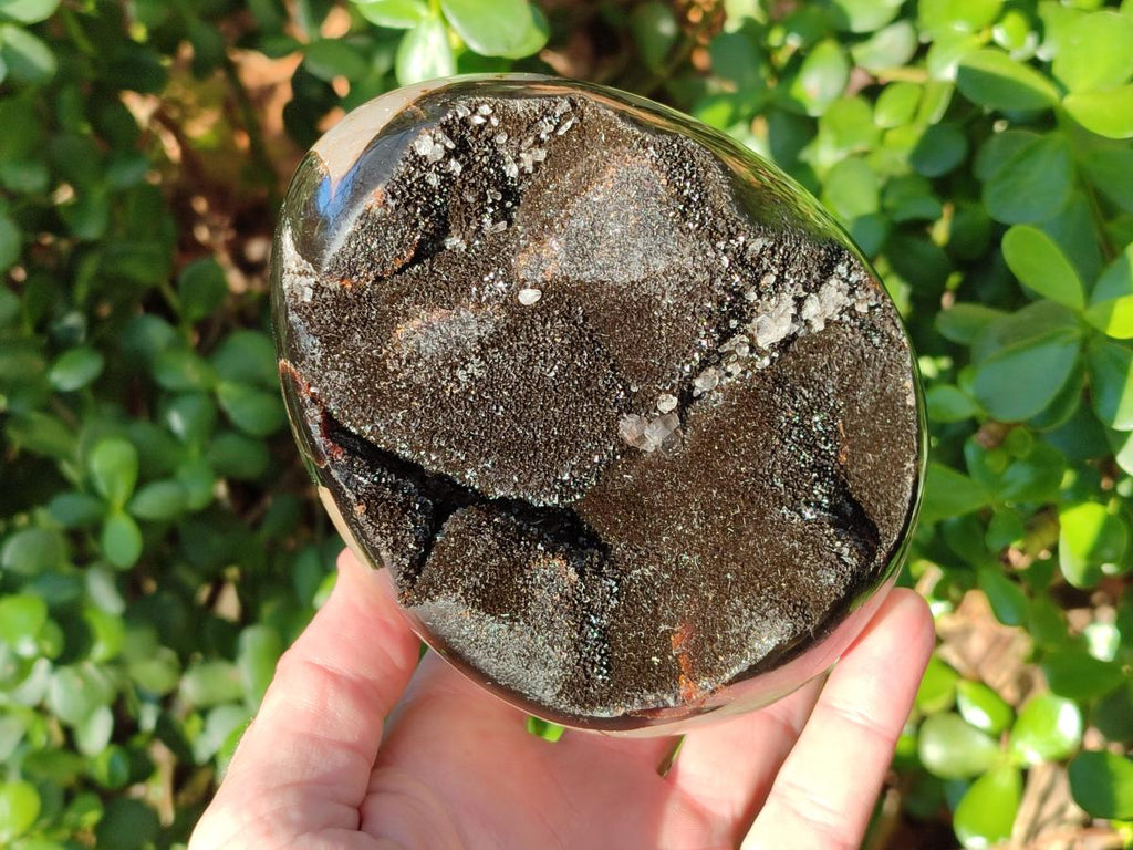 Polished Septerye Sauvage "Dragons Egg" Geodes x 2 From Mahajanga, Madagascar - Toprock Gemstones and Minerals 