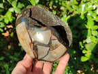 Polished Septerye Sauvage "Dragons Egg" Geodes x 2 From Mahajanga, Madagascar - Toprock Gemstones and Minerals 