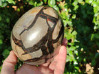 Polished Septerye Sauvage "Dragons Egg" Geodes x 2 From Mahajanga, Madagascar - Toprock Gemstones and Minerals 