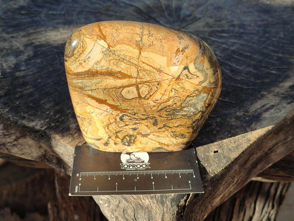 Polished Picture Stone Jasper Standing Display Pieces x 2 From Ais-Ais, Namibia - Toprock Gemstones and Minerals 