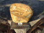 Polished Picture Stone Jasper Standing Display Pieces x 2 From Ais-Ais, Namibia - Toprock Gemstones and Minerals 