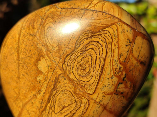 Polished Picture Stone Jasper Standing Display Pieces x 2 From Ais-Ais, Namibia - Toprock Gemstones and Minerals 