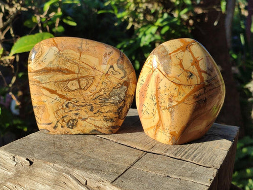 Polished Picture Stone Jasper Standing Display Pieces x 2 From Ais-Ais, Namibia - Toprock Gemstones and Minerals 
