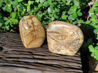 Polished Picture Stone Jasper Standing Display Pieces x 2 From Ais-Ais, Namibia - Toprock Gemstones and Minerals 