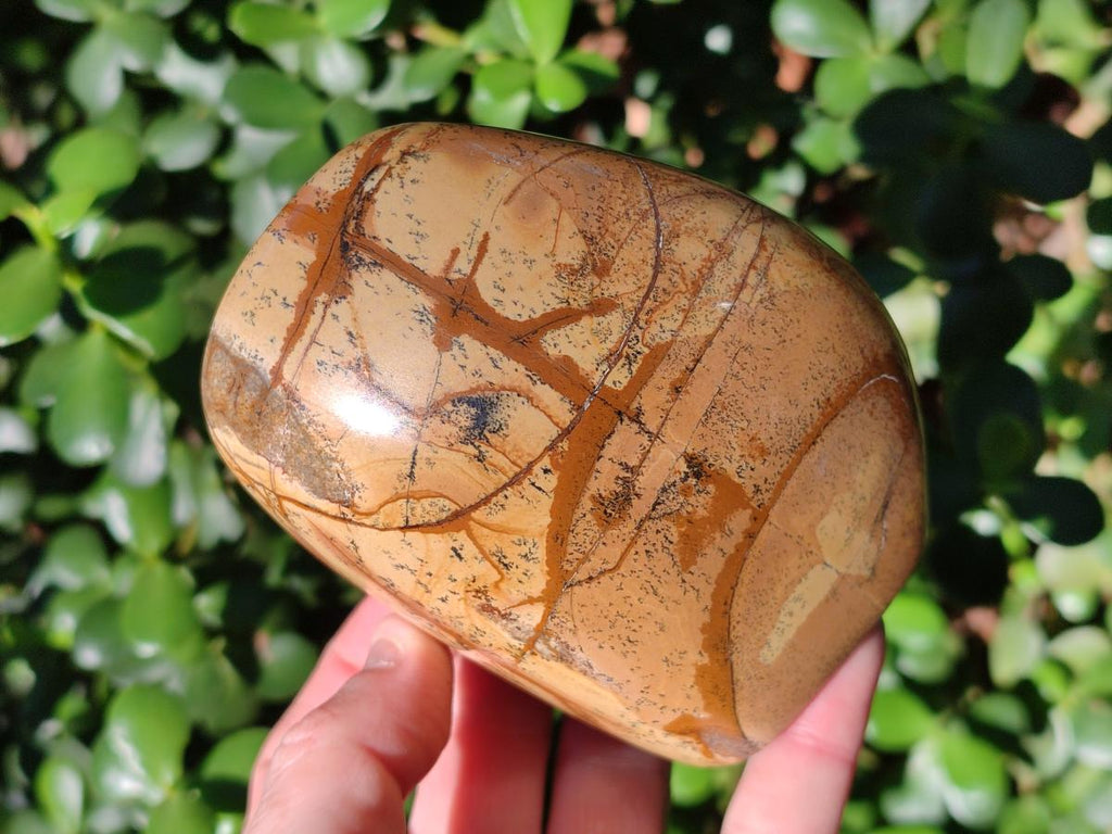 Polished Picture Stone Jasper Standing Display Pieces x 2 From Ais-Ais, Namibia - Toprock Gemstones and Minerals 