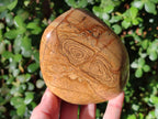 Polished Picture Stone Jasper Standing Display Pieces x 2 From Ais-Ais, Namibia - Toprock Gemstones and Minerals 