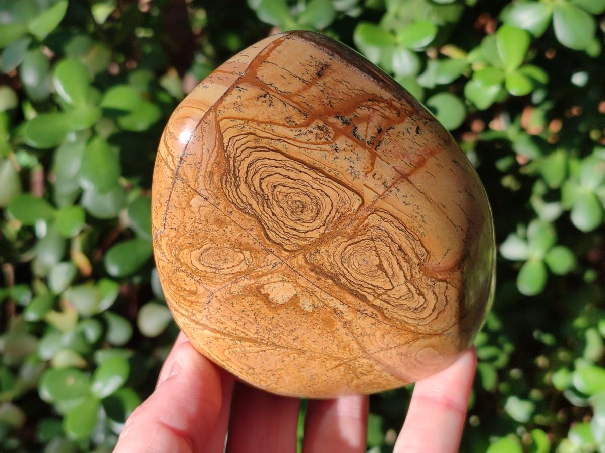 Polished Picture Stone Jasper Standing Display Pieces x 2 From Ais-Ais, Namibia - Toprock Gemstones and Minerals 