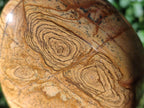 Polished Picture Stone Jasper Standing Display Pieces x 2 From Ais-Ais, Namibia - Toprock Gemstones and Minerals 