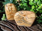 Polished Picture Stone Jasper Standing Display Pieces x 2 From Ais-Ais, Namibia - Toprock Gemstones and Minerals 