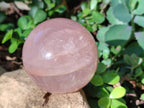 Polished Gemmy Star Rose Quartz Spheres x 2 From Madagascar - Toprock Gemstones and Minerals 
