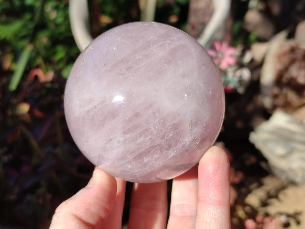 Polished Gemmy Star Rose Quartz Spheres x 2 From Madagascar - Toprock Gemstones and Minerals 