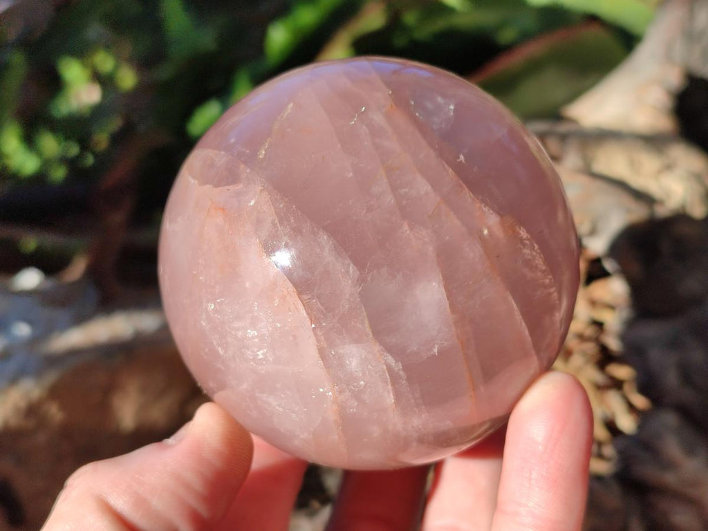 Polished Gemmy Star Rose Quartz Spheres x 2 From Madagascar - Toprock Gemstones and Minerals 