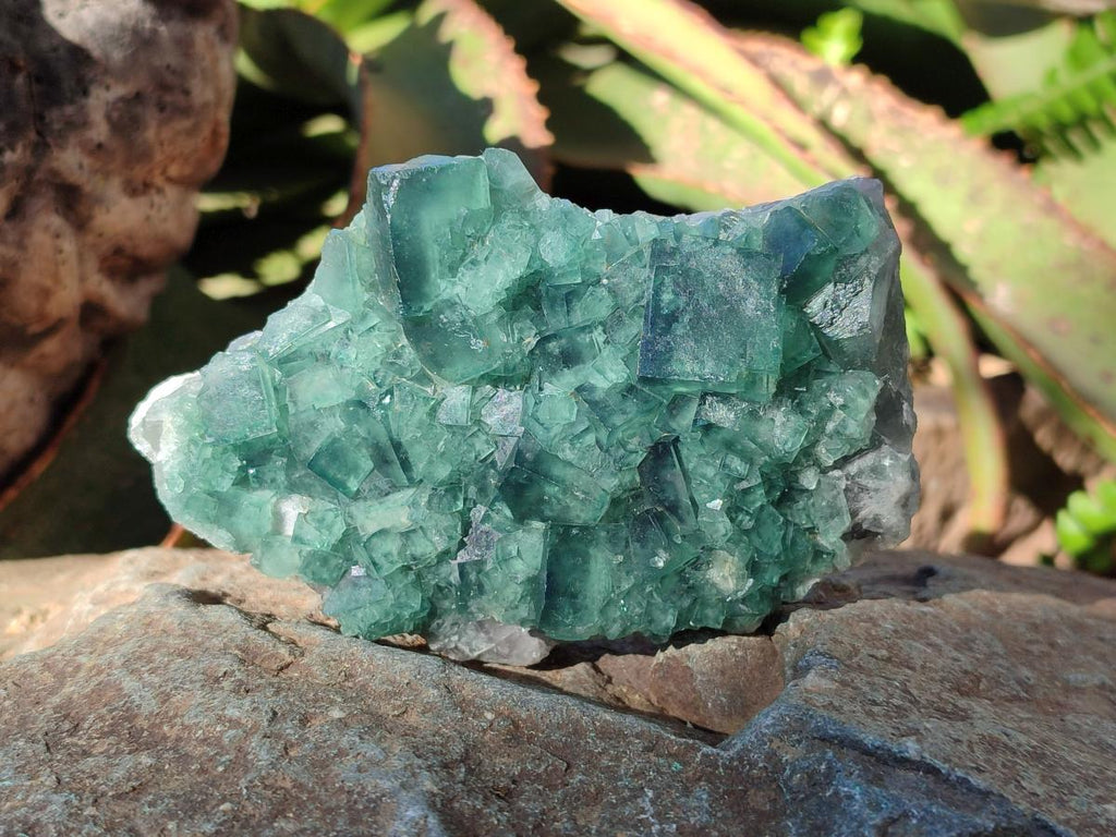 Natural Green Cubic Fluorite Specimens x 6 From Mandrosonoro, Madagascar - Toprock Gemstones and Minerals 