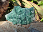 Natural Green Cubic Fluorite Specimens x 6 From Mandrosonoro, Madagascar - Toprock Gemstones and Minerals 