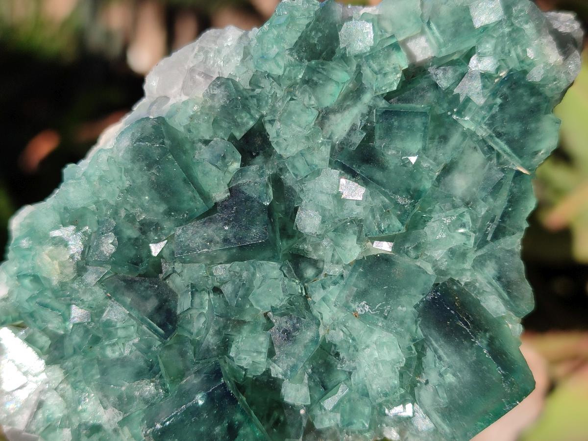 Natural Green Cubic Fluorite Specimens x 6 From Mandrosonoro, Madagascar - Toprock Gemstones and Minerals 