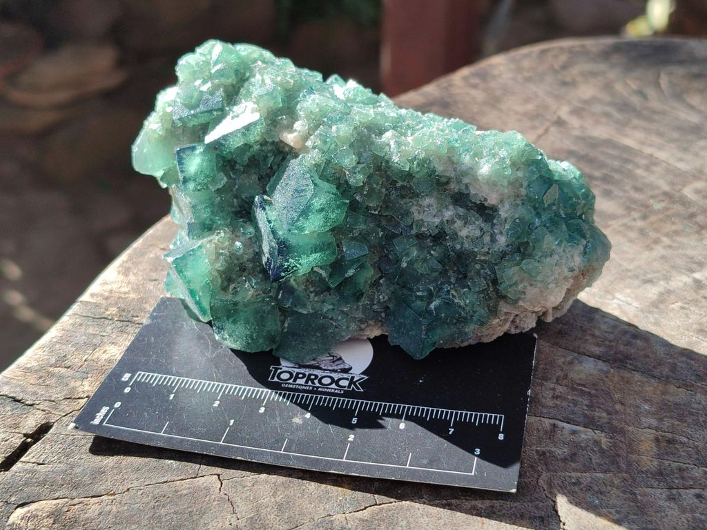 Natural Green Cubic Fluorite Specimens x 6 From Mandrosonoro, Madagascar - Toprock Gemstones and Minerals 