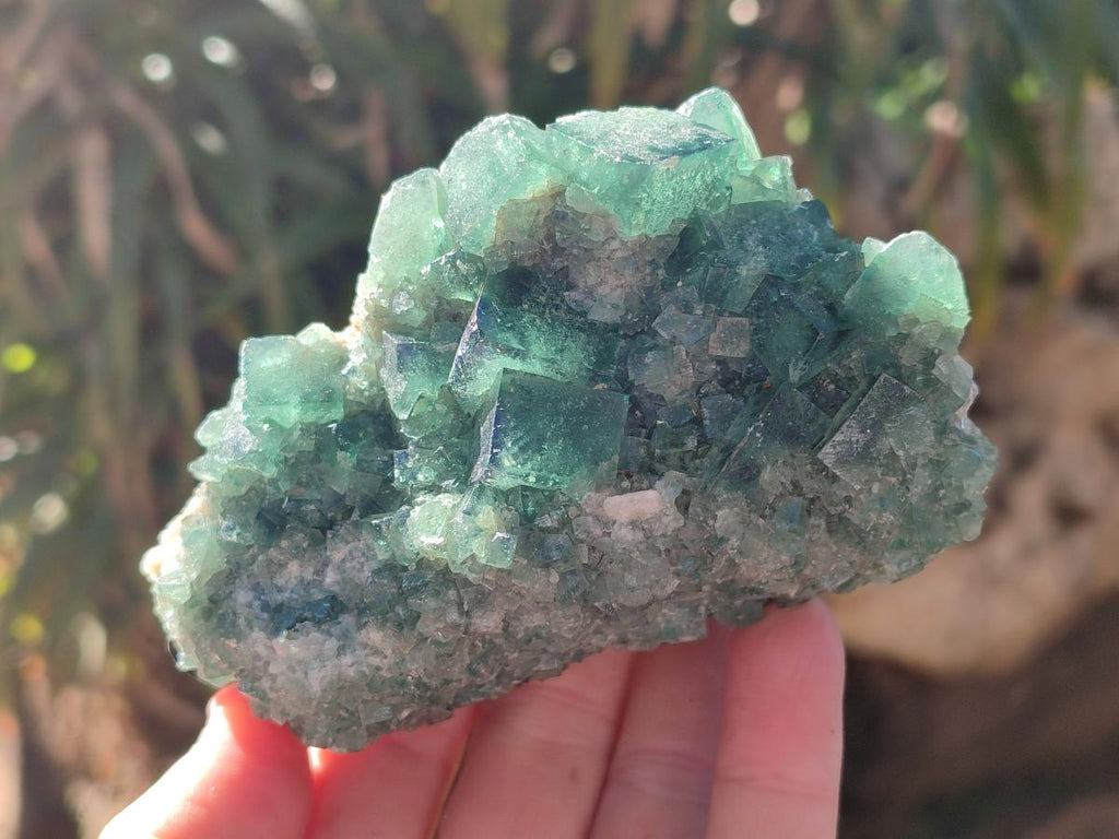 Natural Green Cubic Fluorite Specimens x 6 From Mandrosonoro, Madagascar - Toprock Gemstones and Minerals 