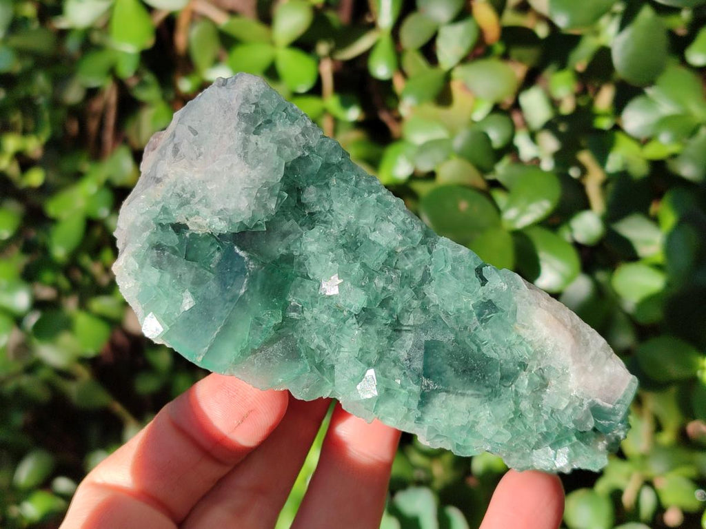 Natural Green Cubic Fluorite Specimens x 6 From Mandrosonoro, Madagascar - Toprock Gemstones and Minerals 