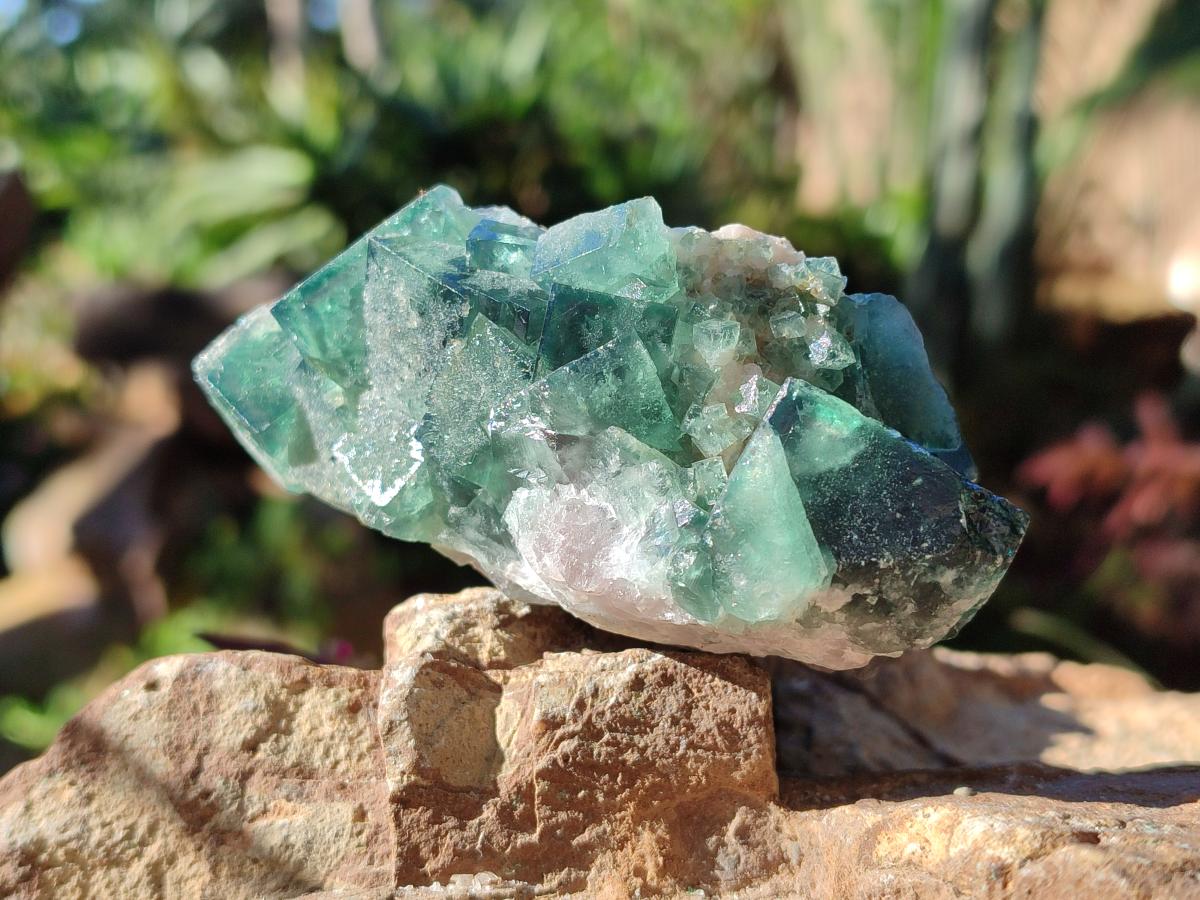 Natural Green Cubic Fluorite Specimens x 6 From Mandrosonoro, Madagascar - Toprock Gemstones and Minerals 