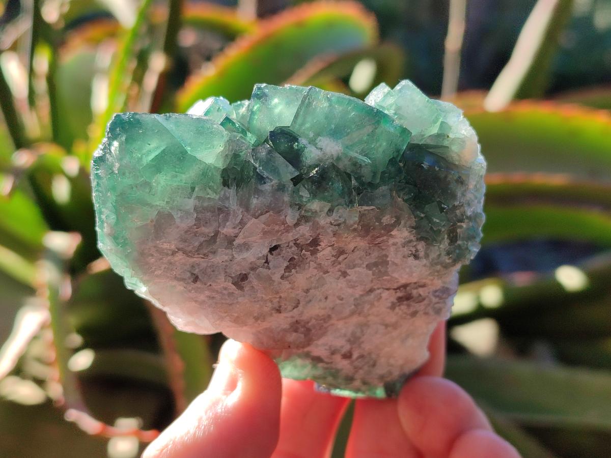 Natural Green Cubic Fluorite Specimens x 6 From Mandrosonoro, Madagascar - Toprock Gemstones and Minerals 