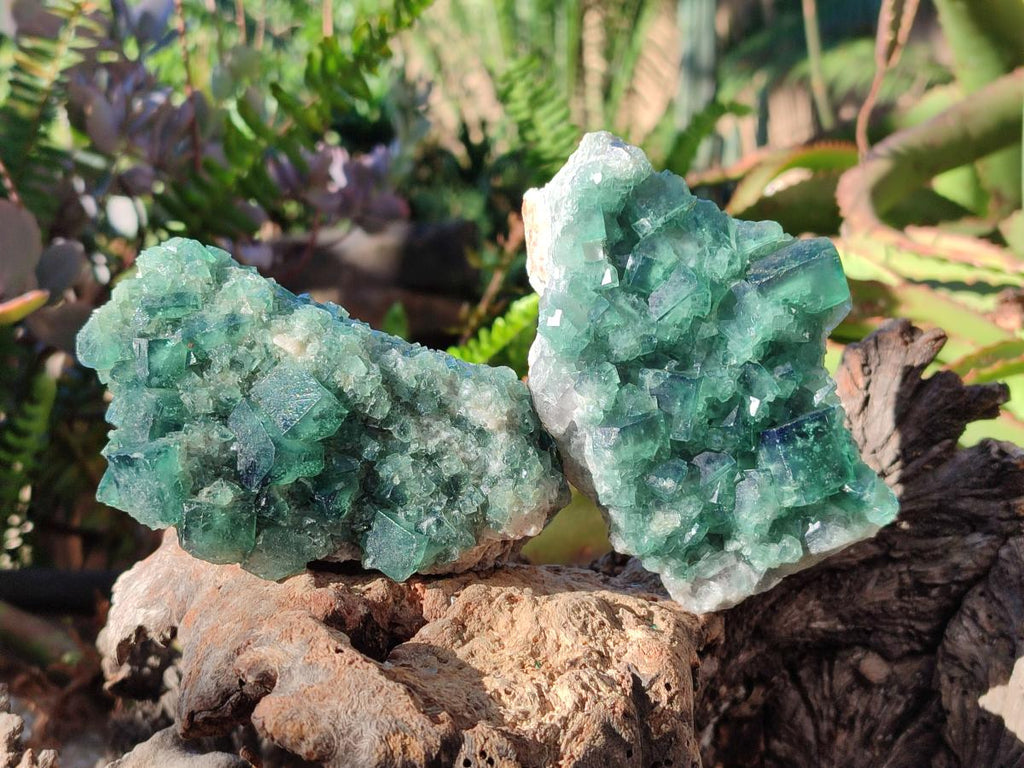 Natural Green Cubic Fluorite Specimens x 6 From Mandrosonoro, Madagascar - Toprock Gemstones and Minerals 