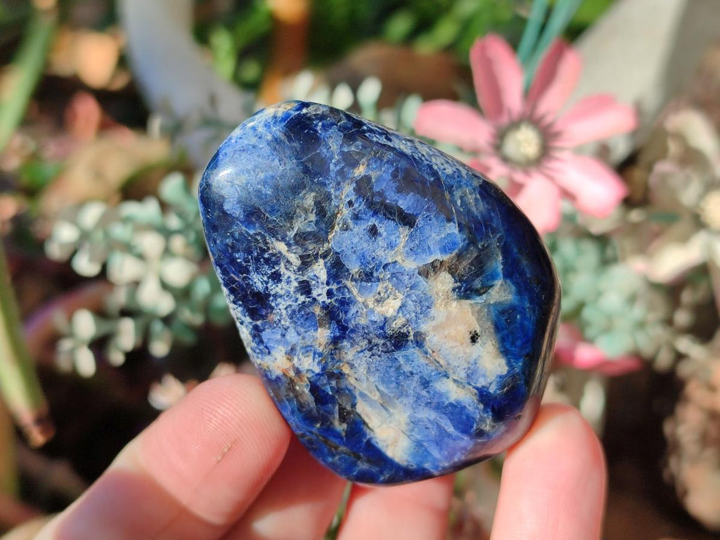 Polished Rare Dumortierite Standing Display Pieces x 12 From Madagascar - Toprock Gemstones and Minerals 