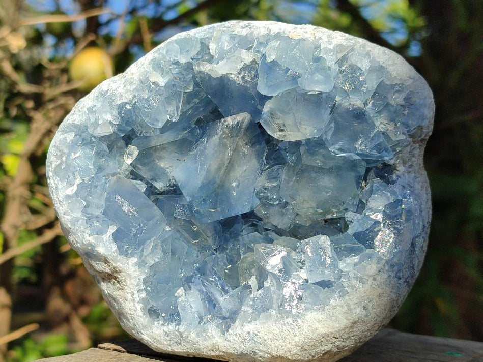 Natural Blue Celestite Geode Specimens x 2 From Sakoany, Madagascar - Toprock Gemstones and Minerals 