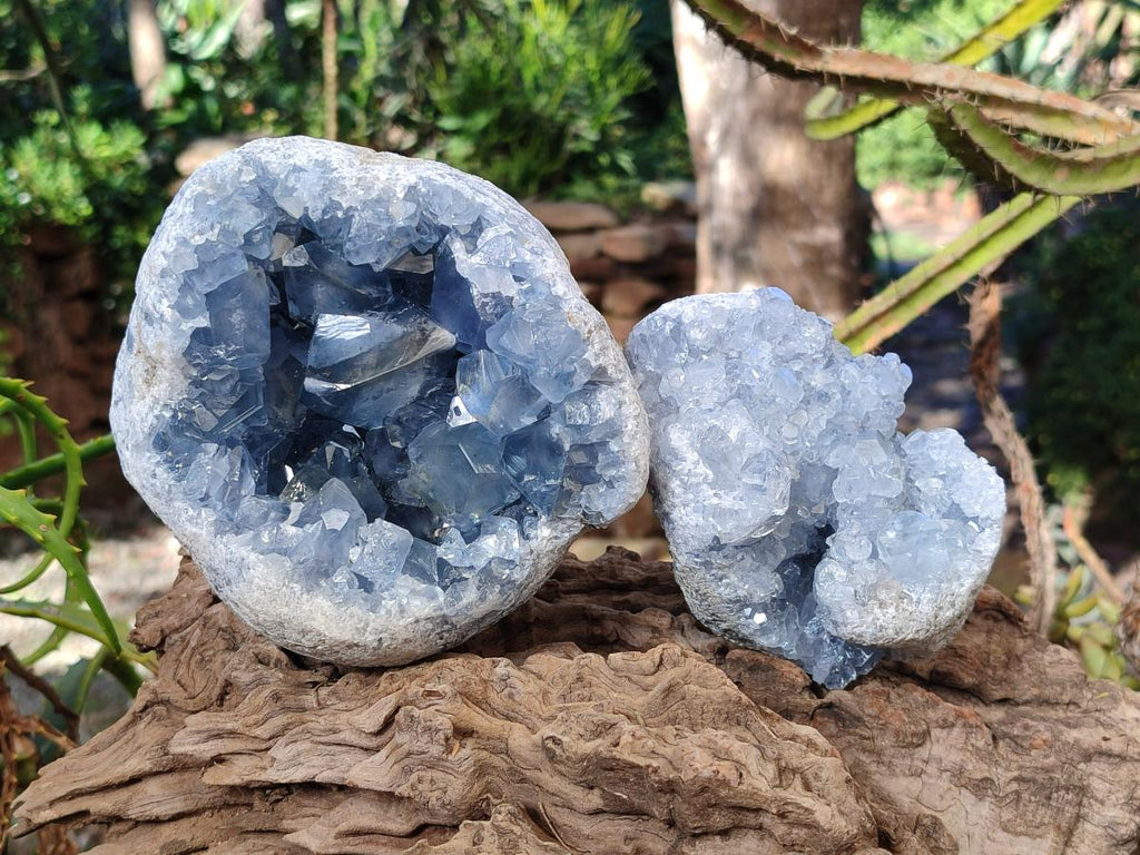 Natural Blue Celestite Geode Specimens x 2 From Sakoany, Madagascar - Toprock Gemstones and Minerals 