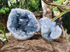 Natural Blue Celestite Geode Specimens x 2 From Sakoany, Madagascar - Toprock Gemstones and Minerals 