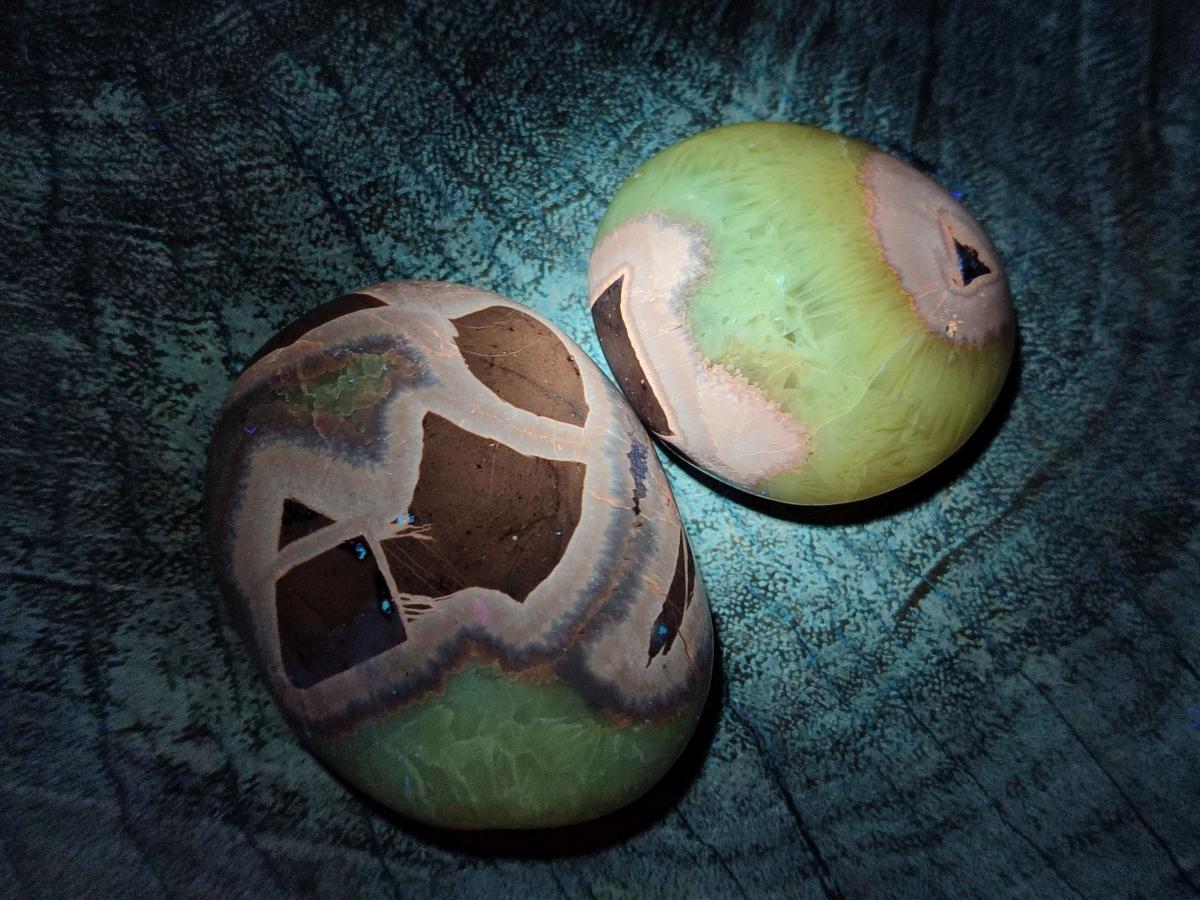Polished Septerye Galets x 12 From Mahajanga, Madagascar - Toprock Gemstones and Minerals 