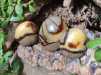 Polished Septerye Galets x 12 From Mahajanga, Madagascar - Toprock Gemstones and Minerals 