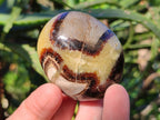 Polished Septerye Galets x 12 From Mahajanga, Madagascar - Toprock Gemstones and Minerals 