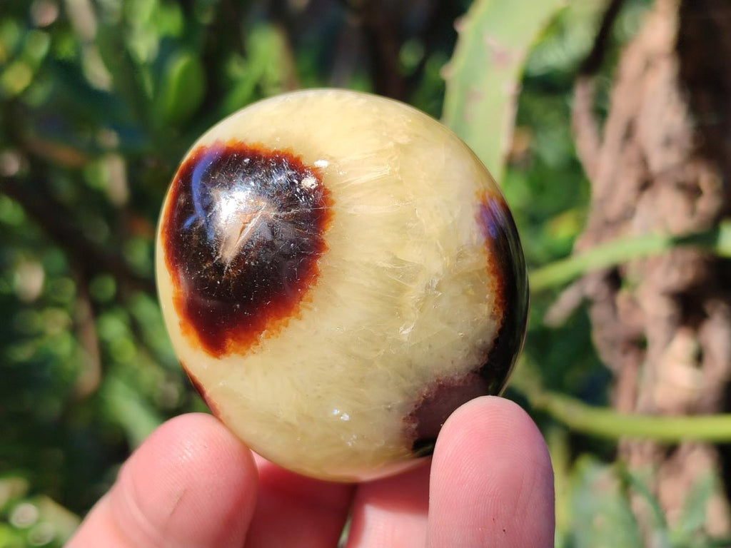 Polished Septerye Galets x 12 From Mahajanga, Madagascar - Toprock Gemstones and Minerals 