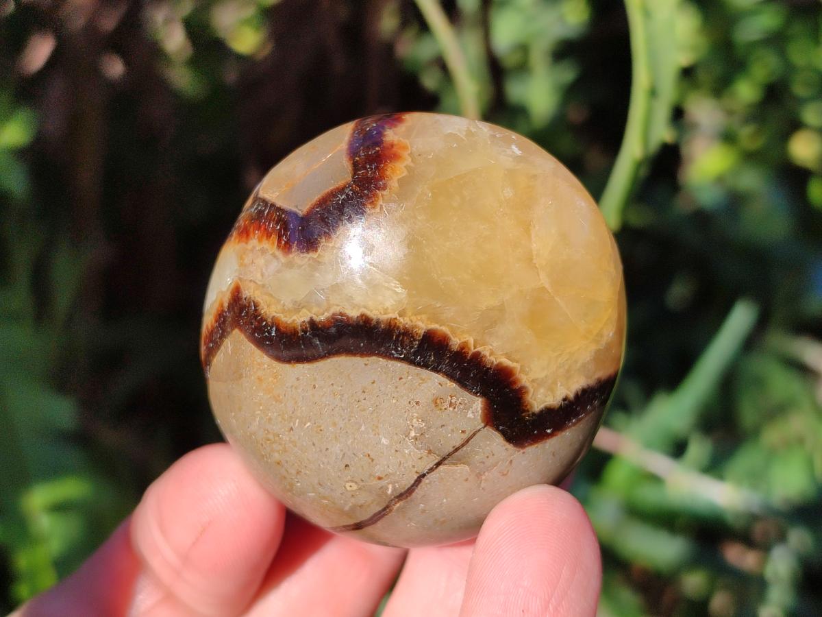 Polished Septerye Galets x 12 From Mahajanga, Madagascar - Toprock Gemstones and Minerals 