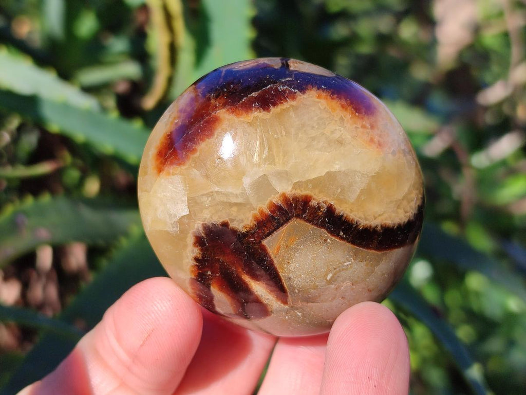 Polished Septerye Galets x 12 From Mahajanga, Madagascar - Toprock Gemstones and Minerals 