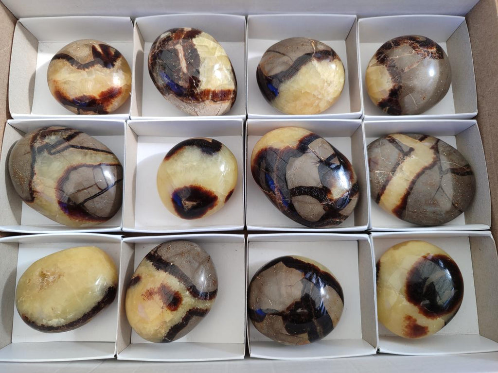 Polished Septerye Galets x 12 From Mahajanga, Madagascar - Toprock Gemstones and Minerals 