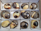 Polished Septerye Galets x 12 From Mahajanga, Madagascar - Toprock Gemstones and Minerals 