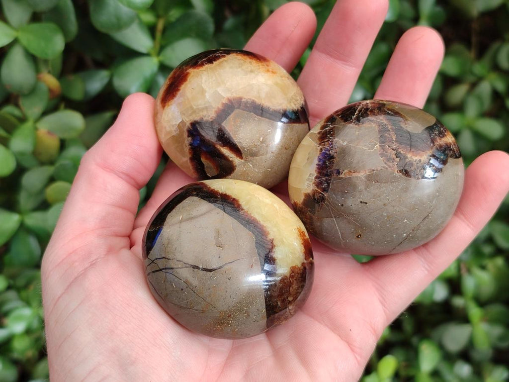 Polished Septerye Galets x 12 From Mahajanga, Madagascar - Toprock Gemstones and Minerals 