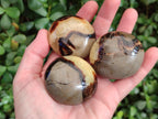 Polished Septerye Galets x 12 From Mahajanga, Madagascar - Toprock Gemstones and Minerals 