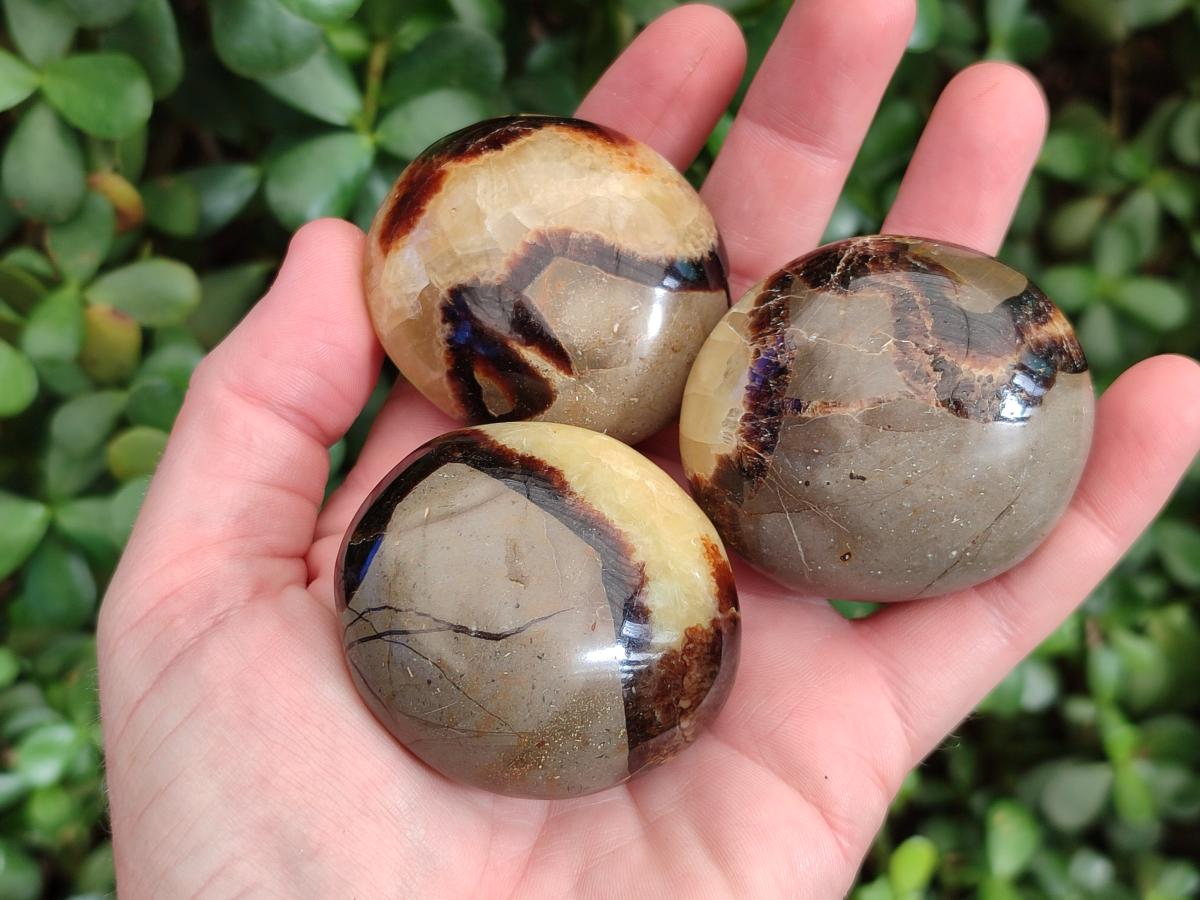 Polished Septerye Galets x 12 From Mahajanga, Madagascar - Toprock Gemstones and Minerals 