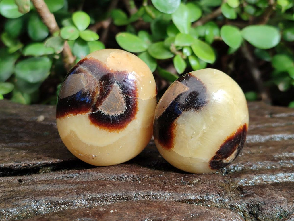 Polished Septerye Galets x 12 From Mahajanga, Madagascar - Toprock Gemstones and Minerals 