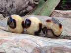 Polished Septerye Galets x 12 From Mahajanga, Madagascar - Toprock Gemstones and Minerals 