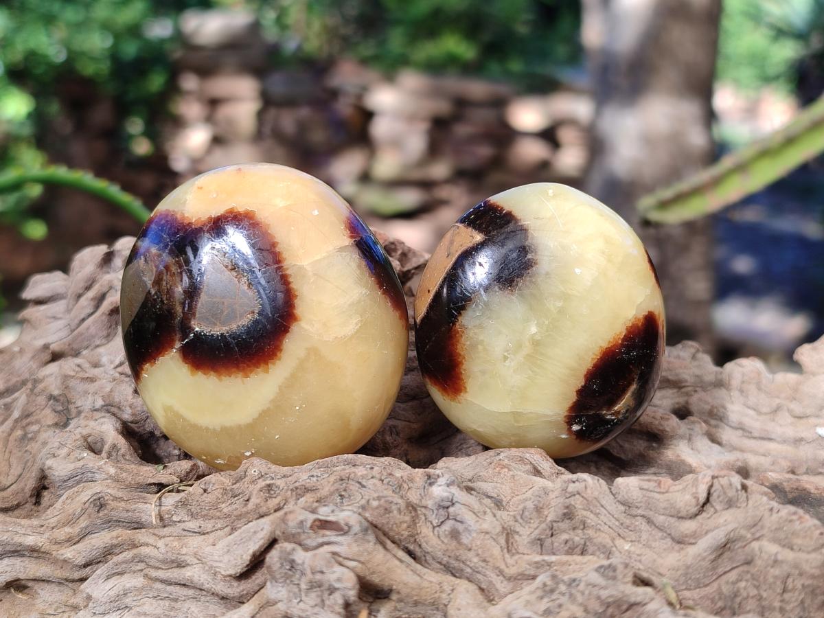 Polished Septerye Galets x 12 From Mahajanga, Madagascar - Toprock Gemstones and Minerals 