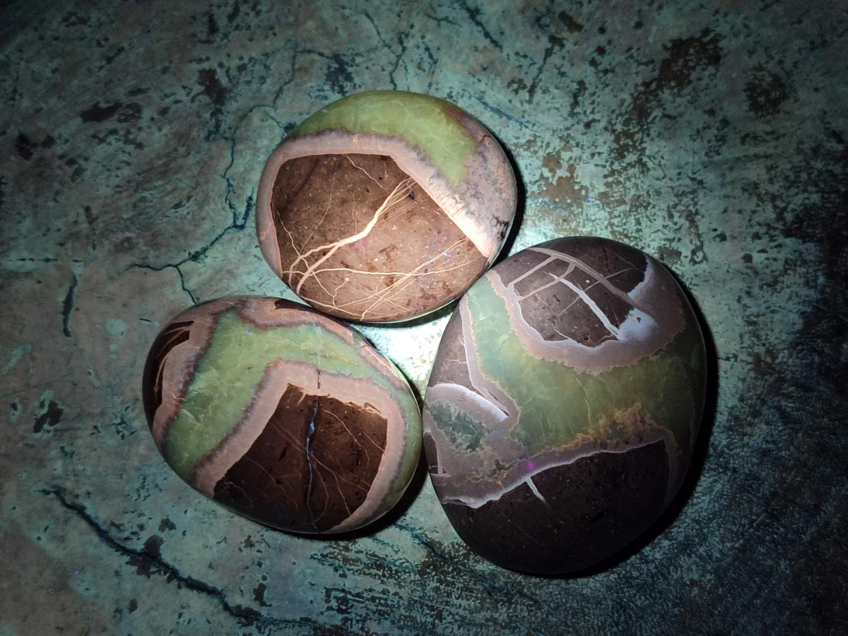 Polished Septerye Galets x 12 From Mahajanga, Madagascar - Toprock Gemstones and Minerals 